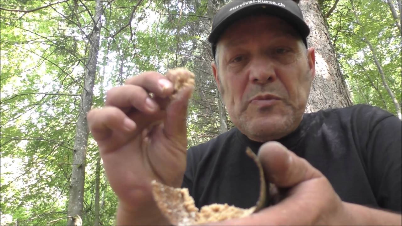 Powerriegel herstellen  in 5 Min. survival Kurse Tsampa