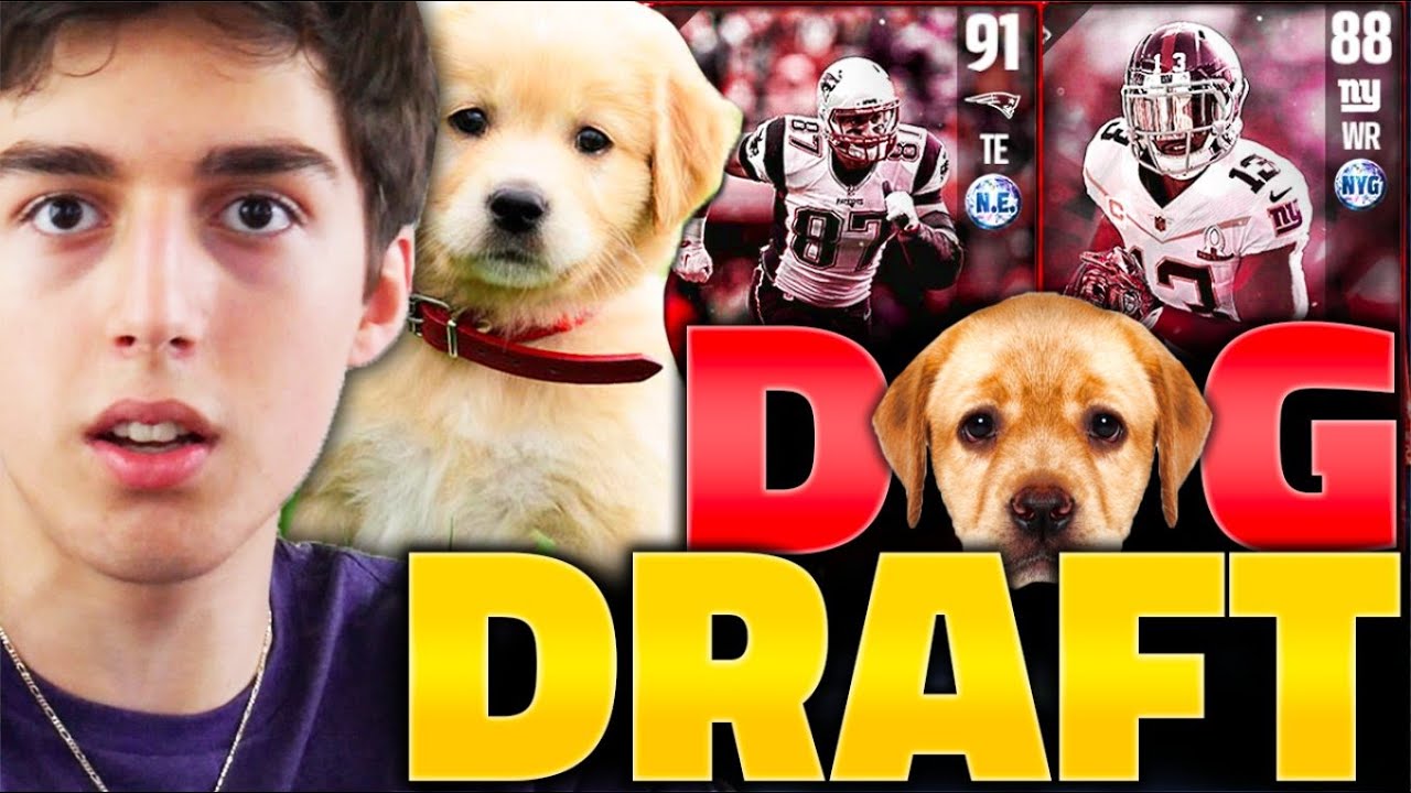 MY DOG DRAFTS THE BEST PLAYER! MADDEN 17 DRAFT CHAMPIONS