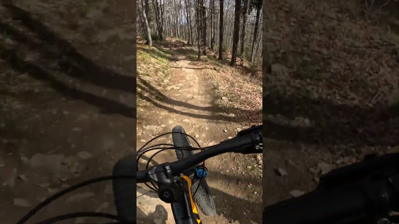 No talking. Just trail. #povmtb #mtbflow #shorts
