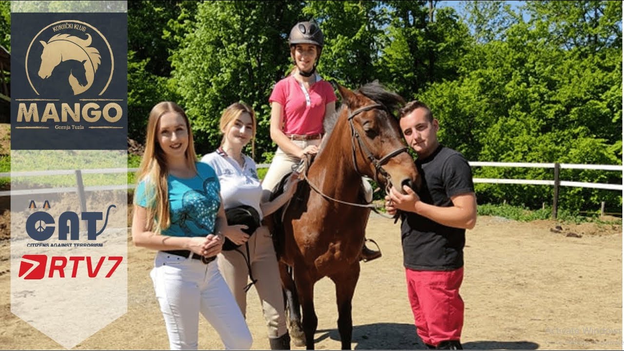 KONJIČKI KLUB MANGO | Sa mačkama u zajednici