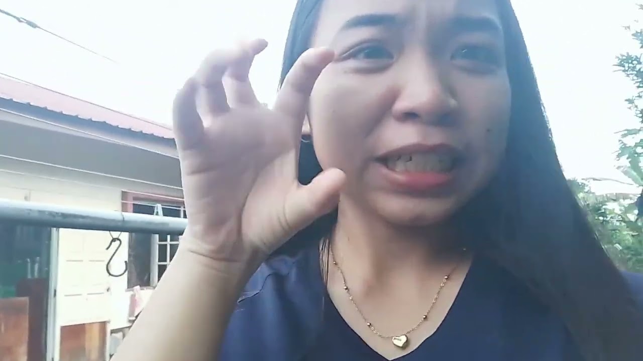 vlog : happy new year !!