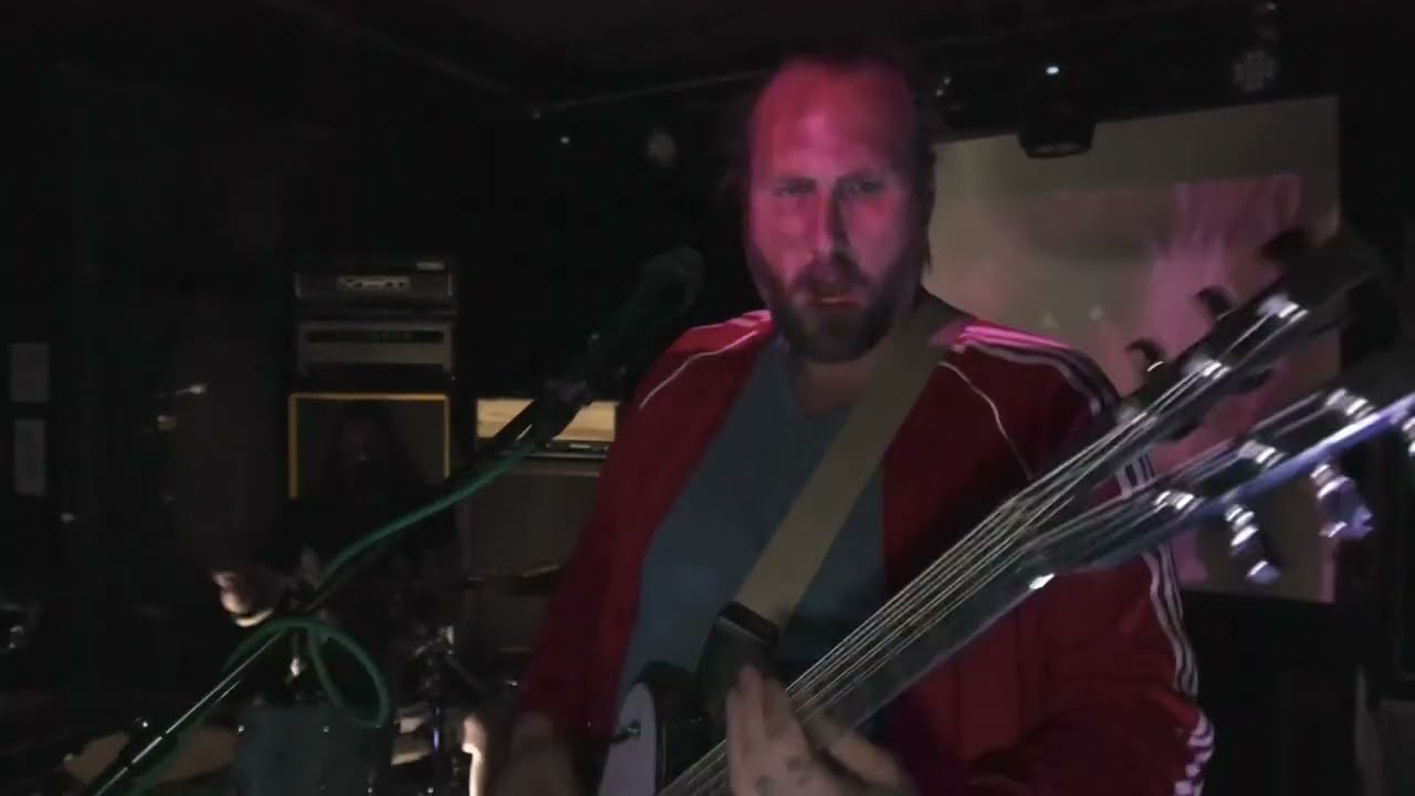 Tiny Tree - BS (live)