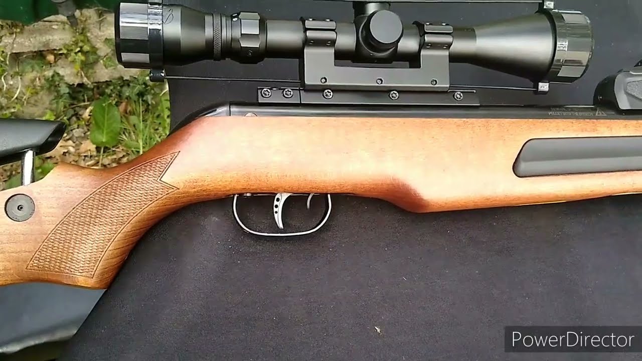 NV052 Gamo Maxim Elite Swarm Review and Pellet Testing.