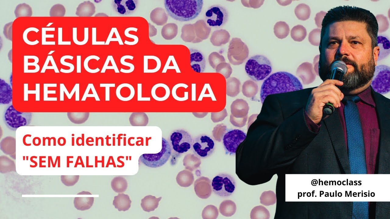 Hematologia B&aacute;sica - Como Identificar Leuc&oacute;citos