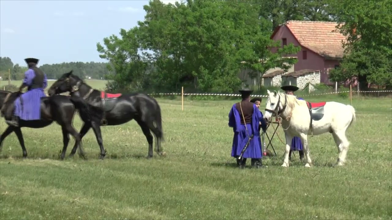 2023-05-28 Puszta ötös és csikós bemutató