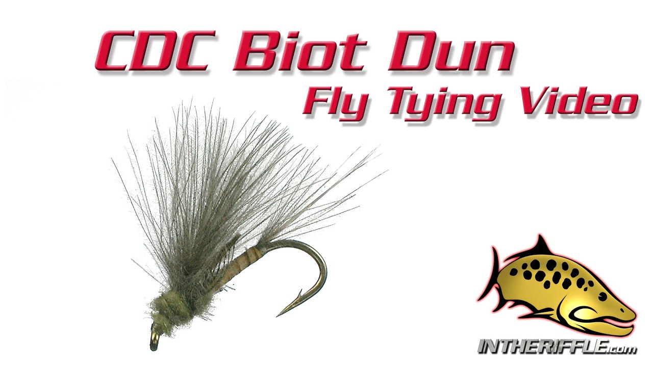 CDC Biot Dun Fly Tying Video Instructions - Rene Harrop