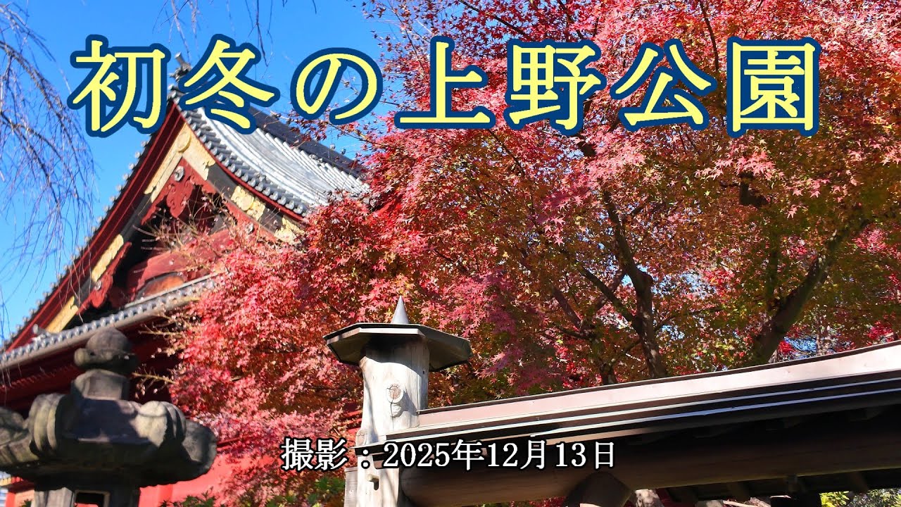 初冬の上野公園 [4K] Ueno Park in early winter