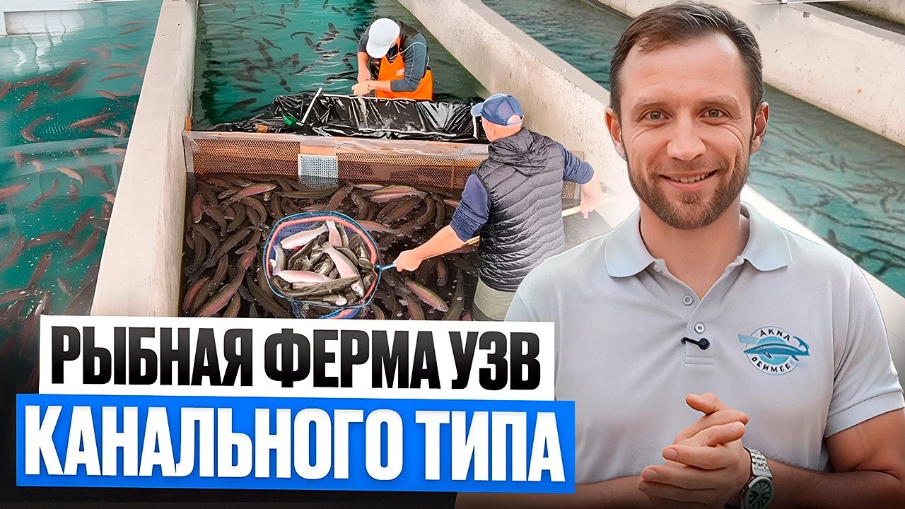 Дешевле, Проще и НАДЕЖНЕЕ Обычной ФЕРМЫ УЗВ? Канальная Ферма ДАТСКОГО ТИПА
