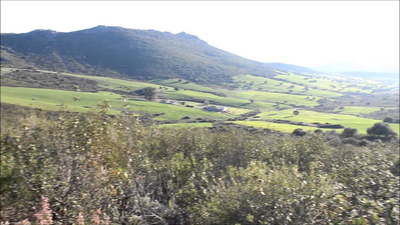 Tarde del 16/03/2015 en Siruela (Badajoz)