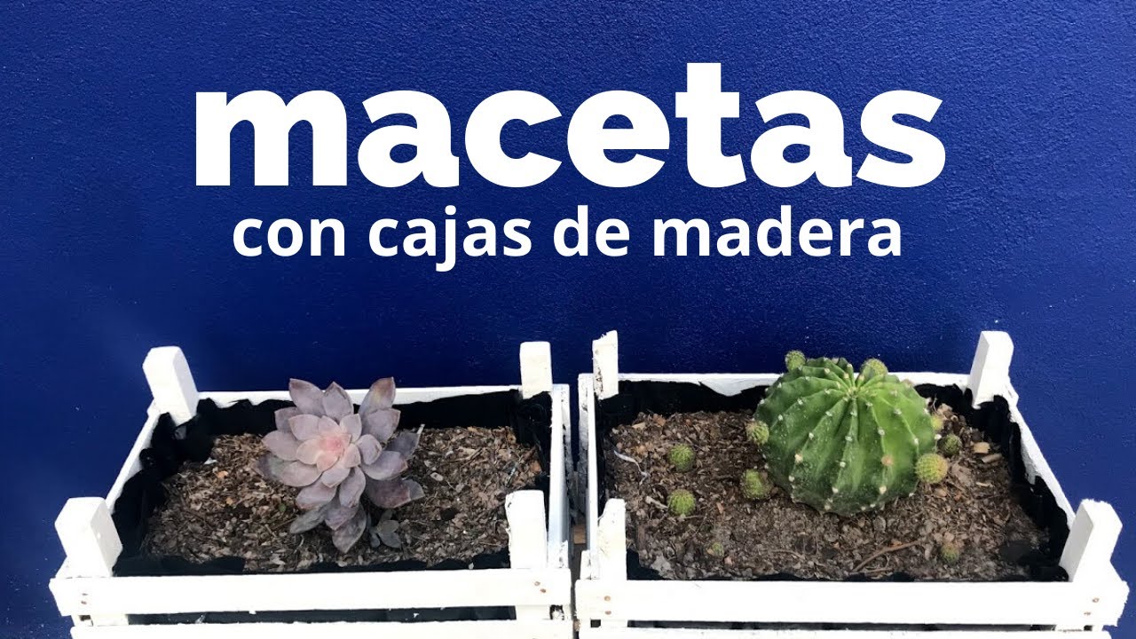 DIY - Macetas con Cajas de Madera ♻