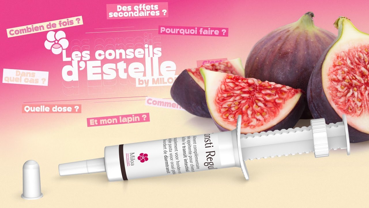Consti Regul™ : le régulateur naturel de transit naturel