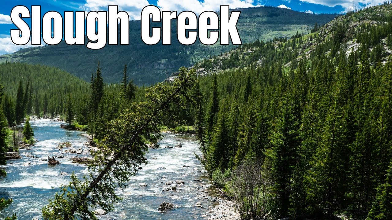 Exploring Slough Creek / Finding Frenchy