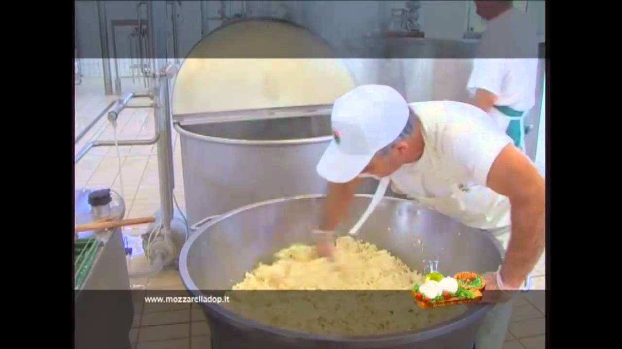 Mozzarella di Bufala Campana Dop: fasi di lavorazione