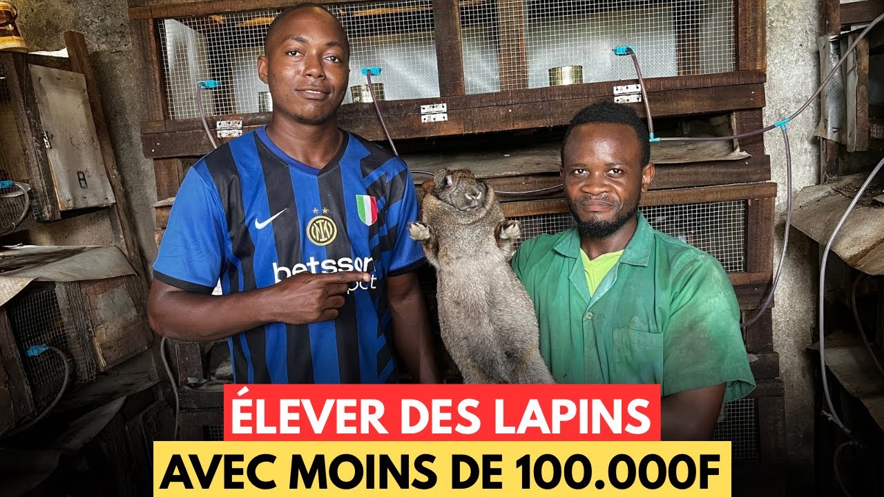 Comment DÉBUTER Votre PROJET de CUNICULTURE Avec 100.000F En AFRIQUE - On Vous Dit TOUT !