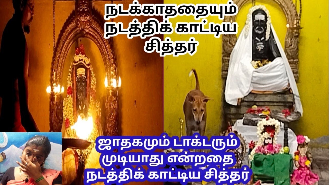 சித்தரை சுற்றி சுற்றி வரும் நாய். இங்கே கால் வைத்தால் நம் தலையெழுத்து மாறும் @krishnaprasadhv4356