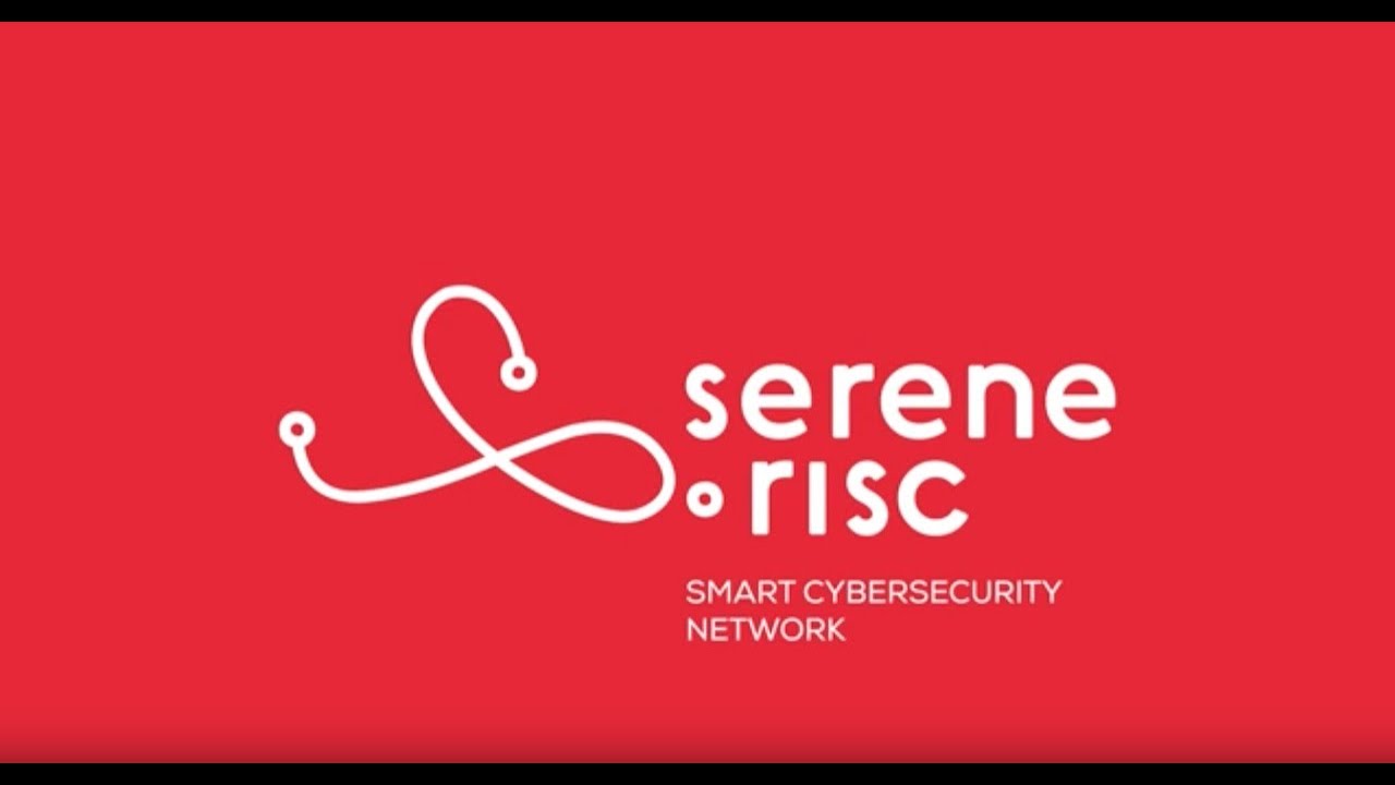 [SLIDES] Cybersecurity: An Electoral Cycle Approach