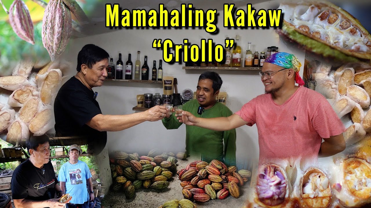 Mamahaling Cacao 