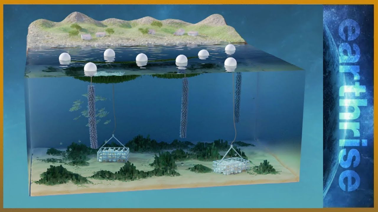 🌏 Farming underwater: 3D solutions for land and sea | Earthrise