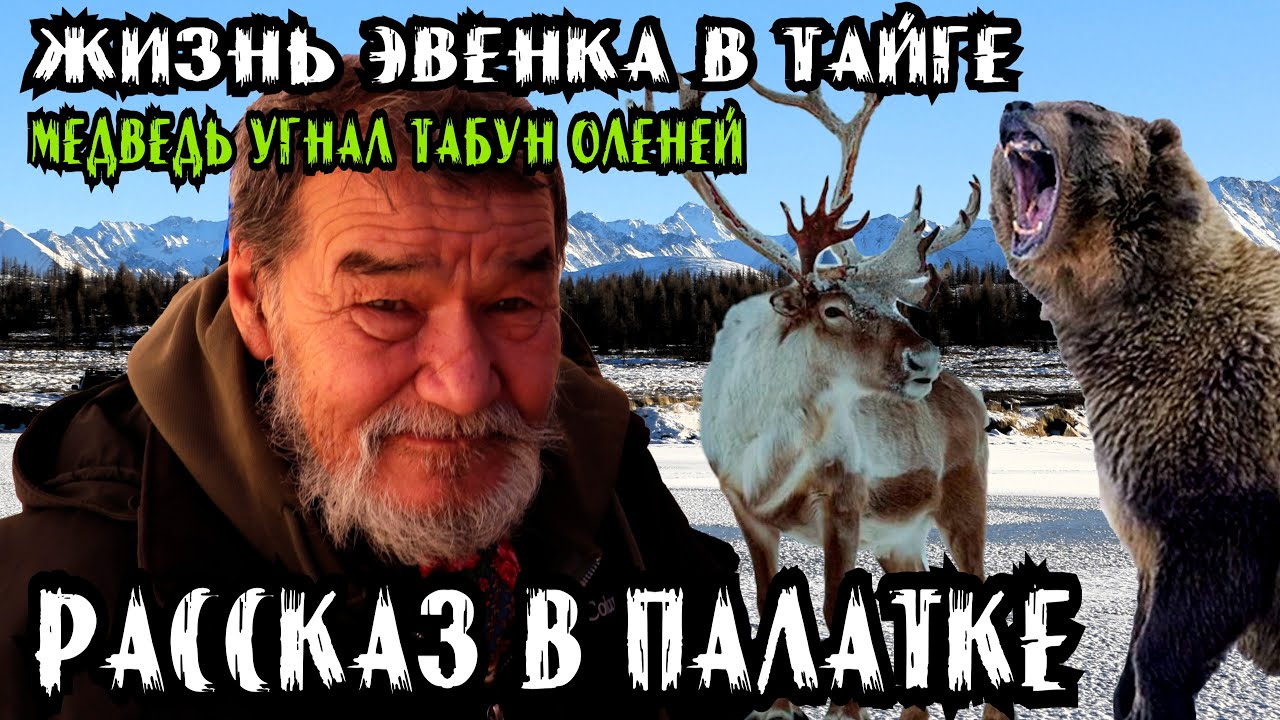 Жизнь в тайге: Как Эвенк отстоял свой табун у Медведя