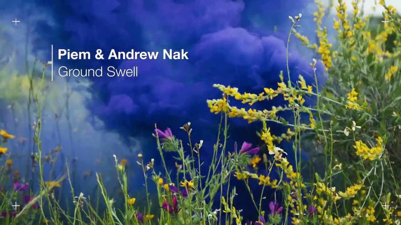 Piem & Andrew Nak - Synthetic