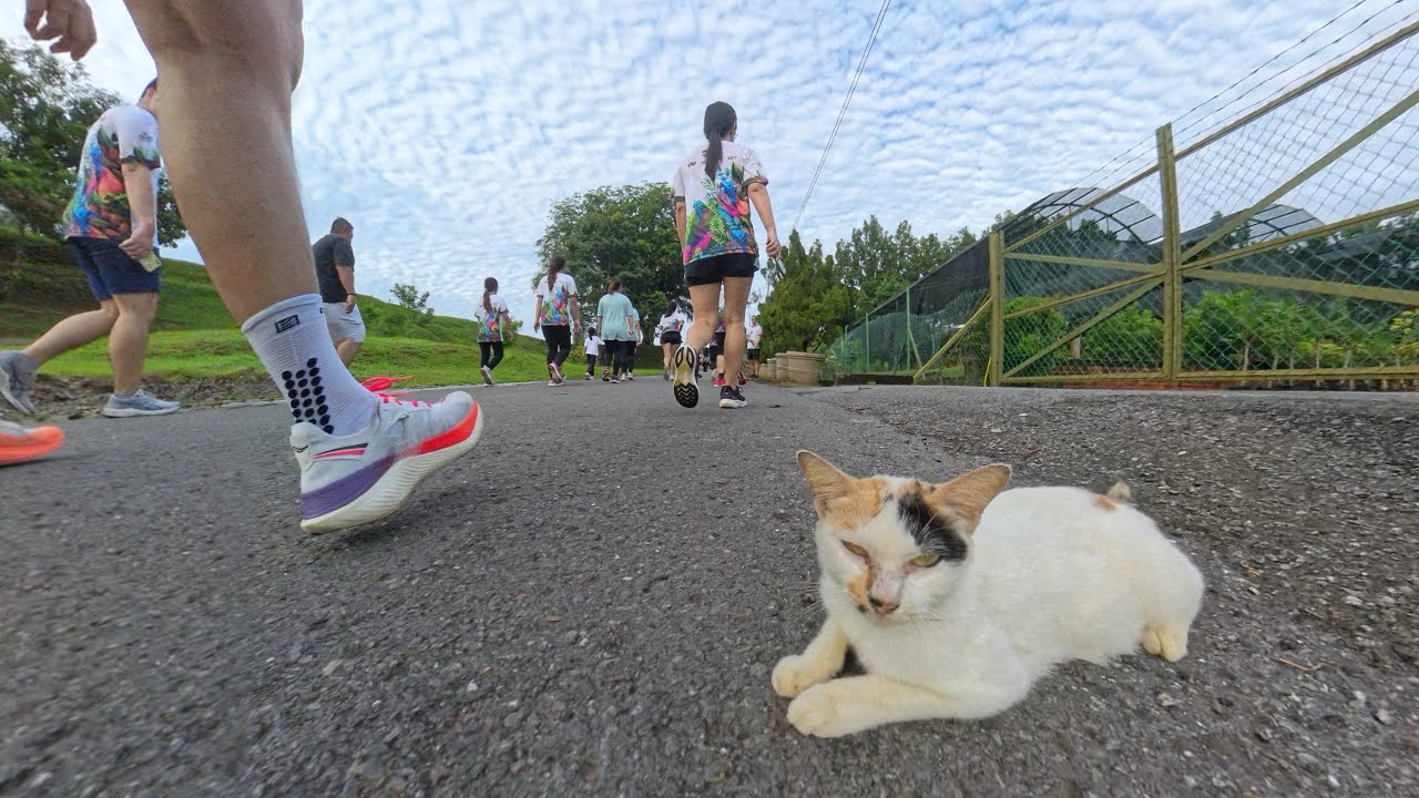 KUCHING X-TIVE URBAN RUN 2025 | 18.05.2025 | KUCHING, SARAWAK
