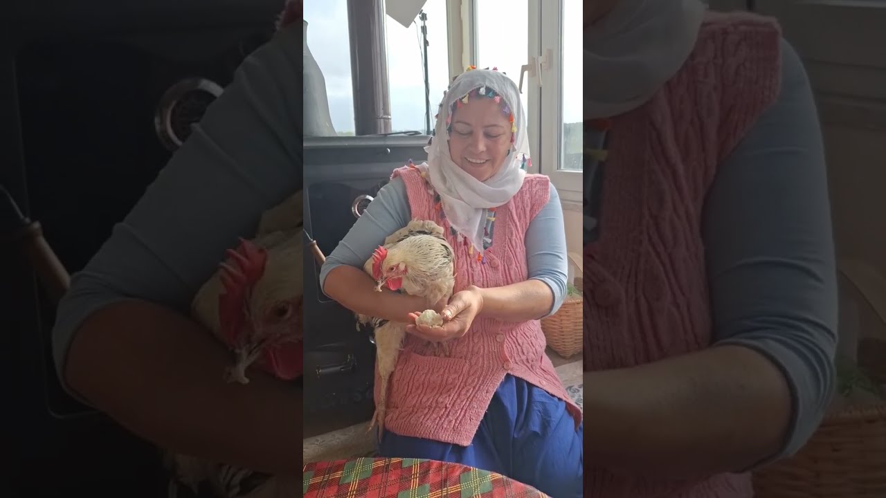 Ayy şok oldum yeminle😱🐔‼️‼️‼️