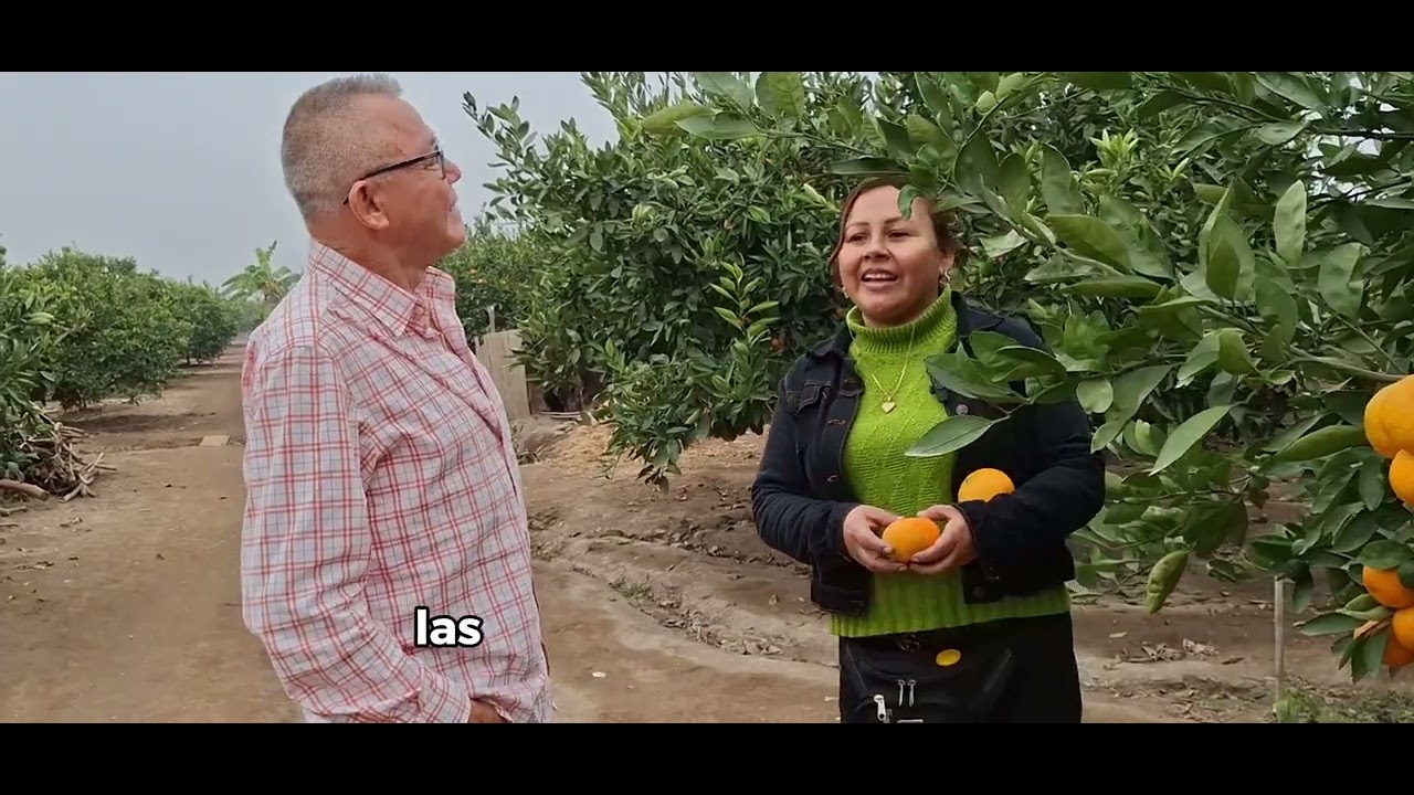 Vive La Ruta De La Mandarina en esta edición de #PepeMariñoPerú 🇵🇪