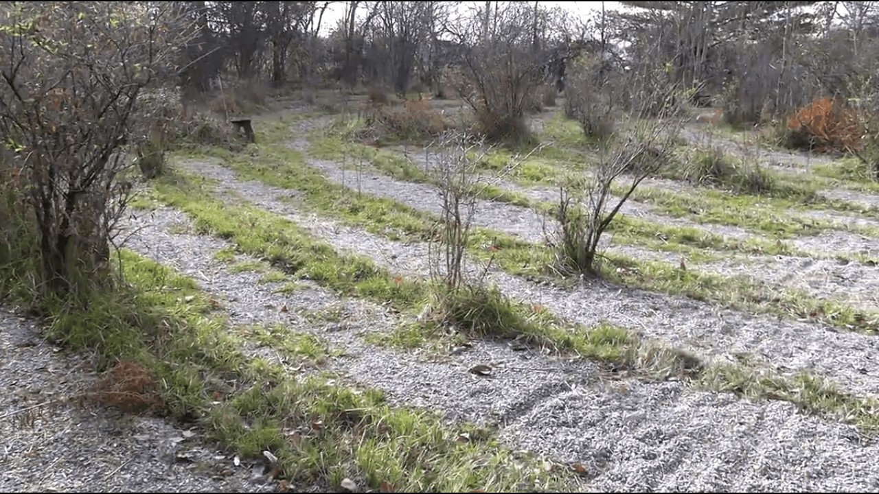 Local High School Students Help Rebuild Spiritual Space at Shepherd's Corner
