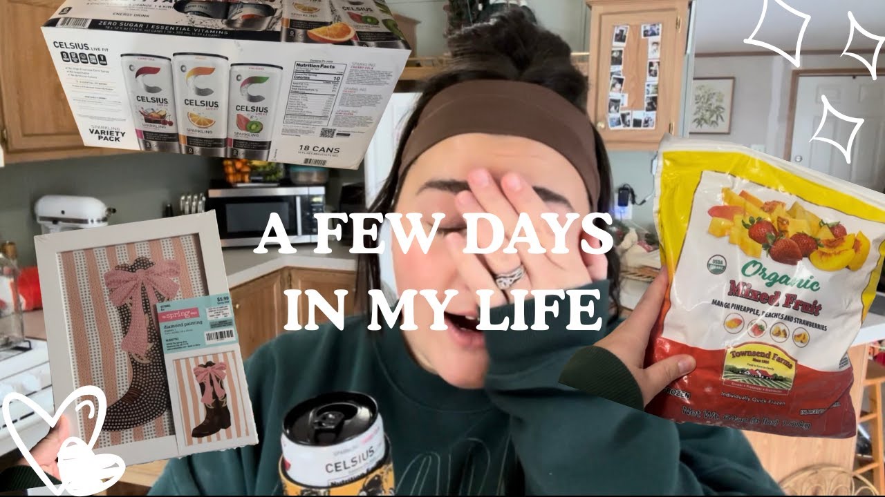 Costco haul, new diamond art projects, grieving the loss of a family pet | VLOG