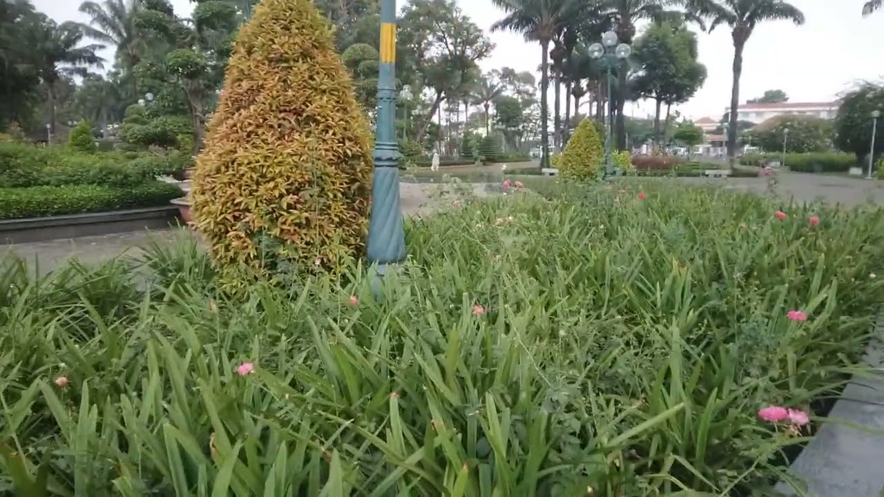 Công viên đẹp nhất Tp. Hồ Chí Minh