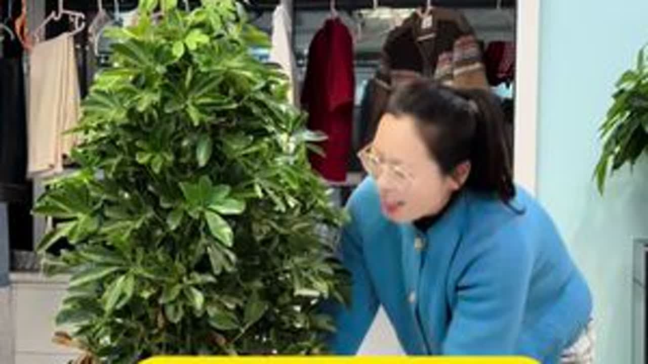 如你们所说，我确实不适合结婚，也从未想过步入婚姻，事已至此，老天也在帮我吧！这几天特别轻松，是我想要的感觉，那就祝我孤独终老，祝你们儿孙满堂。#vlog日常 #家居生活