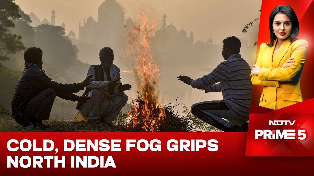 North India Cold Wave | North India Shivers: Cold Wave, Fog Disrupt Daily Life