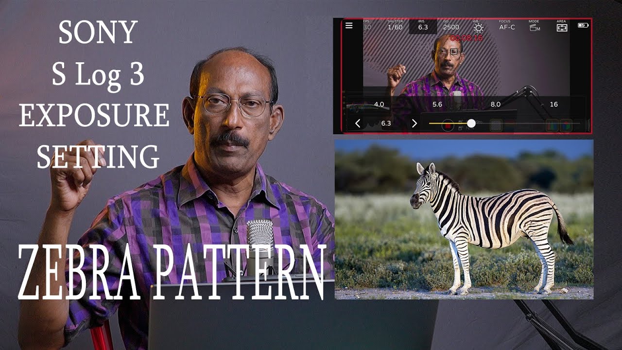 How to use Zebra pattern in Sony mirrorless cameras in tamil