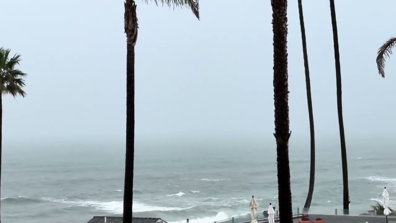 217)16 февраля 2026 г.Pacific Ocean.