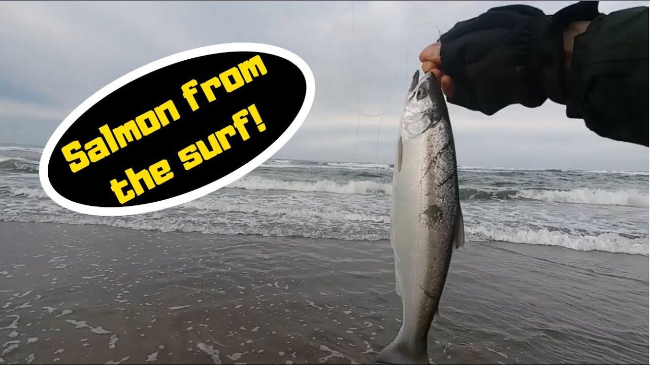 Oregon Coast Surf Fishing | Salmon Double on Gulp Sandworms!