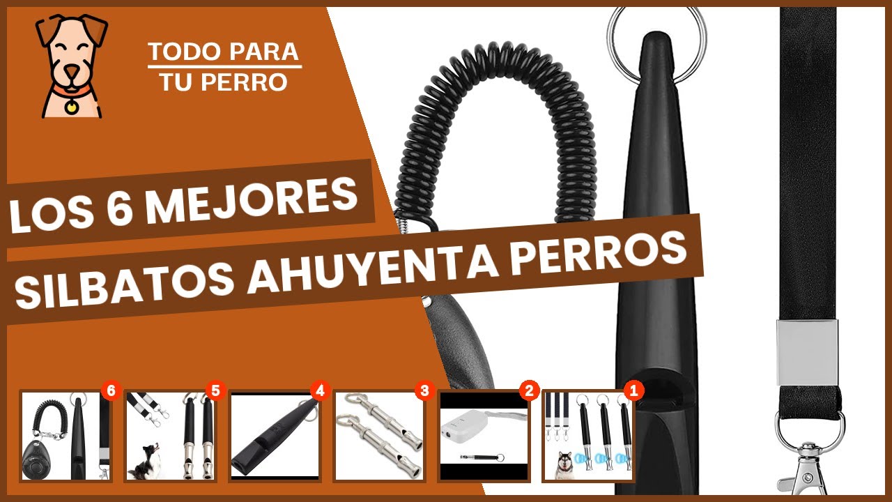 Los 6 mejores silbatos ahuyenta perros