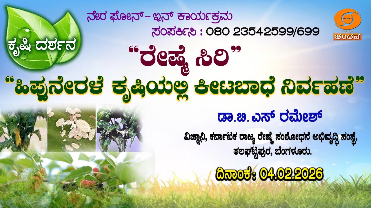Krishi Darshana | Live | Phone-in |ರೇಷ್ಮೆ ಸಿರಿ| “ಹಿಪ್ಪುನೇರಳೆ ಕೃಷಿಯಲ್ಲಿ ಕೀಟಬಾಧೆ ನಿರ್ವಹಣೆ” | 04.2.2026