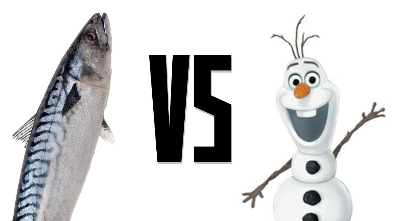 진지한 자르반 vs 올라프 상대법 [텔론]