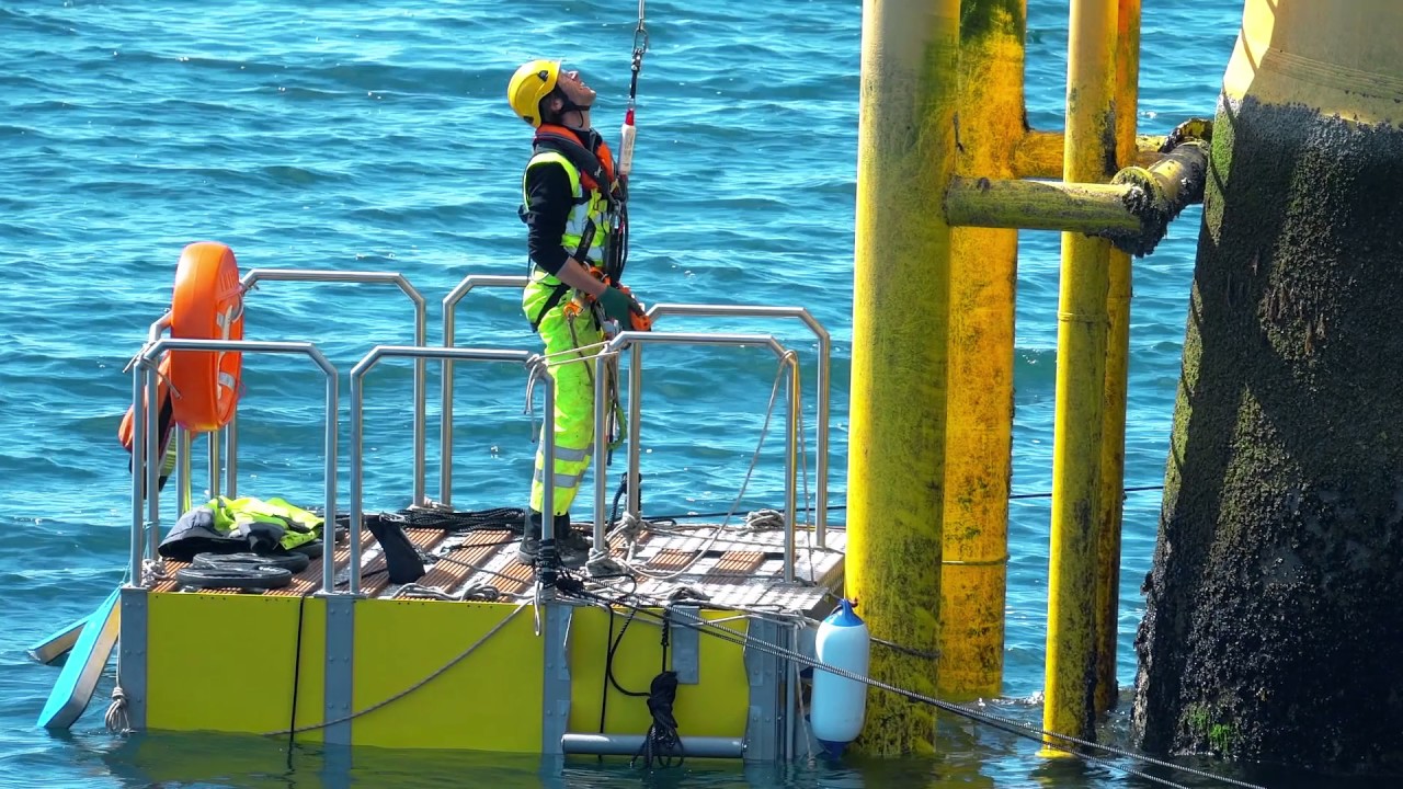 Revolutionising Access to Offshore Wind Farms | Limpet Technology | Backing the Game Changers