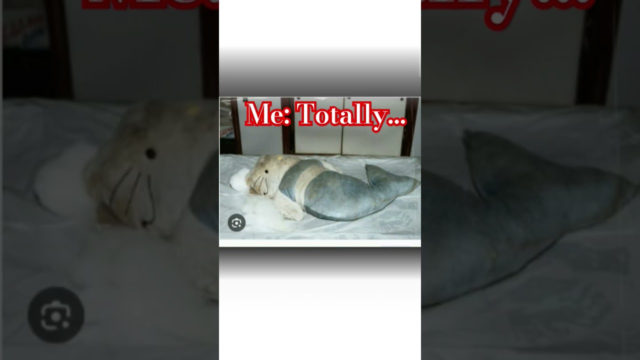 the hello kitty murder case #creepy #scary #truecrimehongkong  #truecrime #shorts