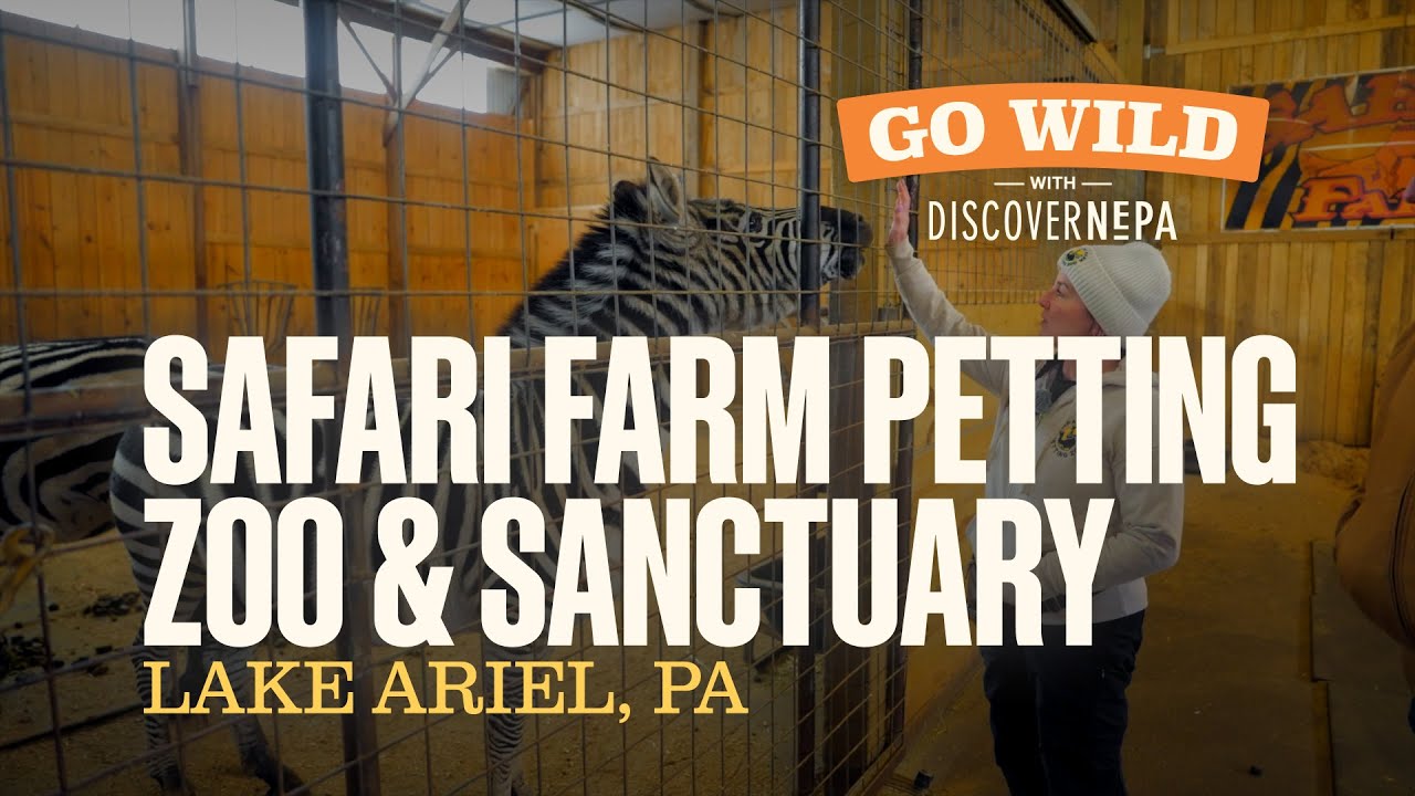 GO WILD with DiscoverNEPA: Safari Farm Petting Zoo & Sanctuary | Lake Ariel, PA