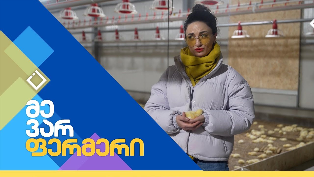 ქათმის ფერმა ქუთაისში | მე ვარ ფერმერი | 10.12.2024
