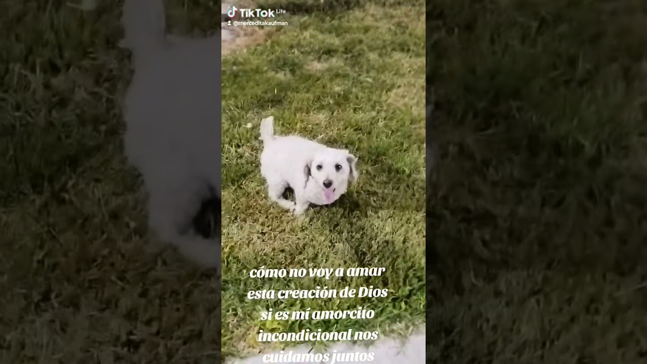 Te amó ❤️ mí hiru 💕