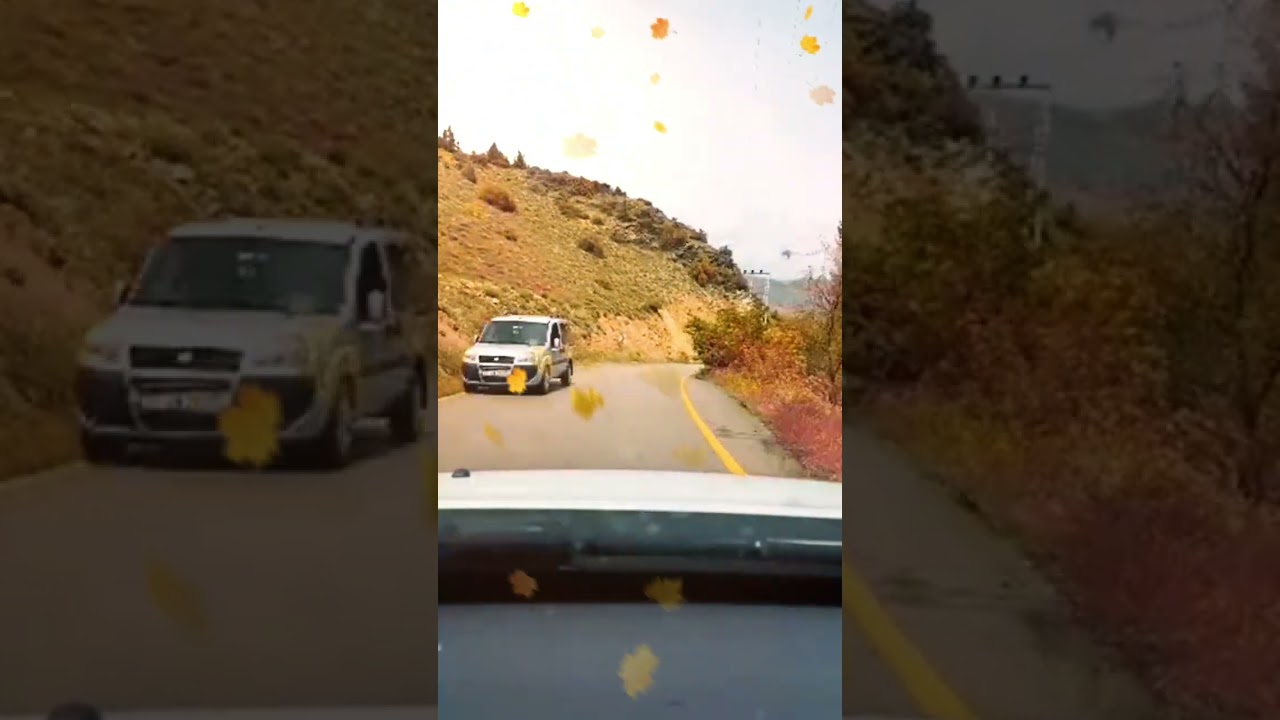 Elmalıya Vardım Yaramı Sarmaya