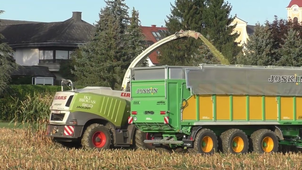 Class Jaguar 960  mit Orbis 750 10 reihig unterwegs im Mais in der Gegend von Hainersdorf  Ilz und d
