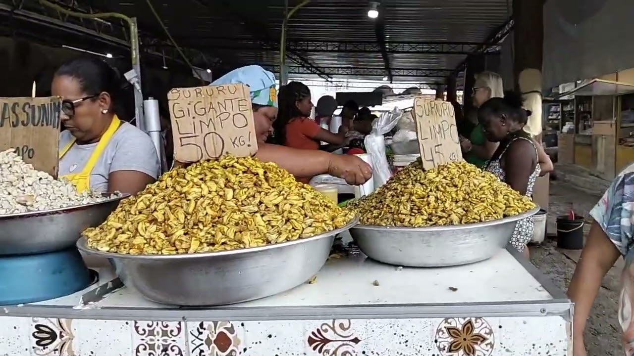 Mercado da produção Maceió Alagoas,vem conhecer ❤️
