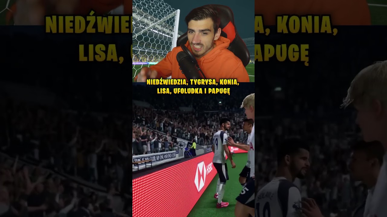 Nowe maskotki