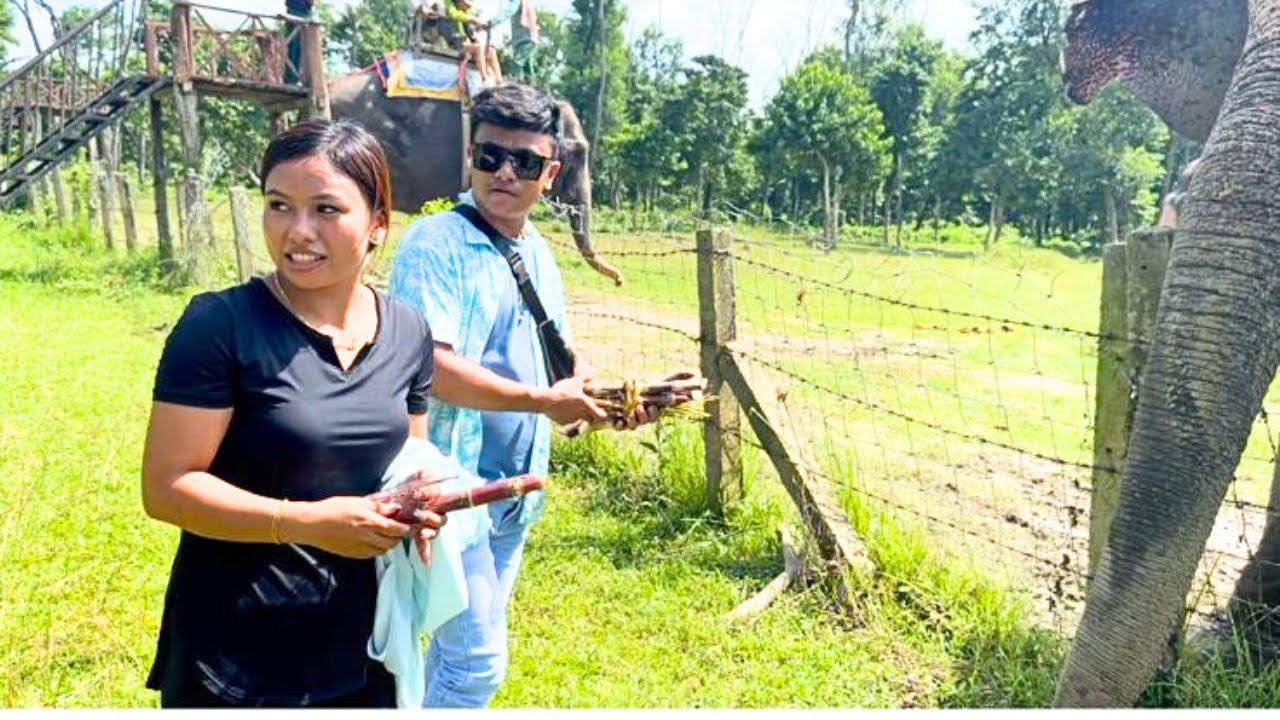 Chitwan sauraha  || Chij Gurung