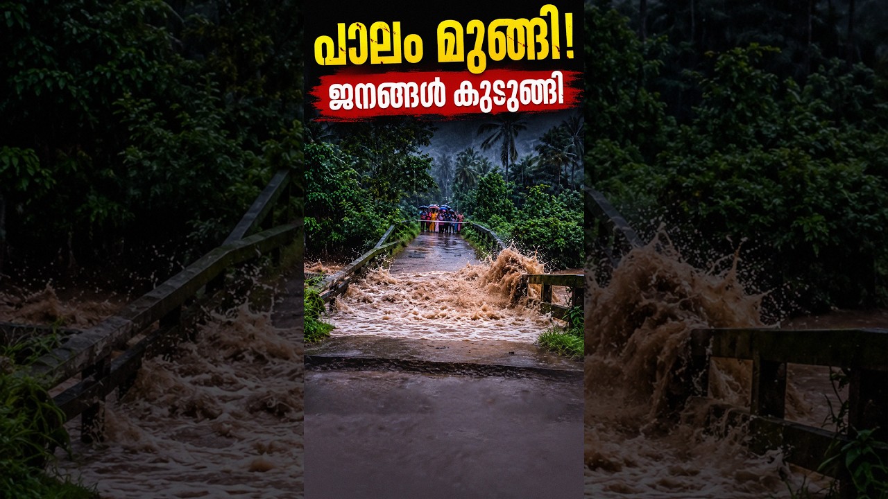 മലവെളളപ്പാച്ചില്&zwj;...മാവുംതോട് - ആനയടി പാലം തകരുന്നു | Bridge collapses in rain