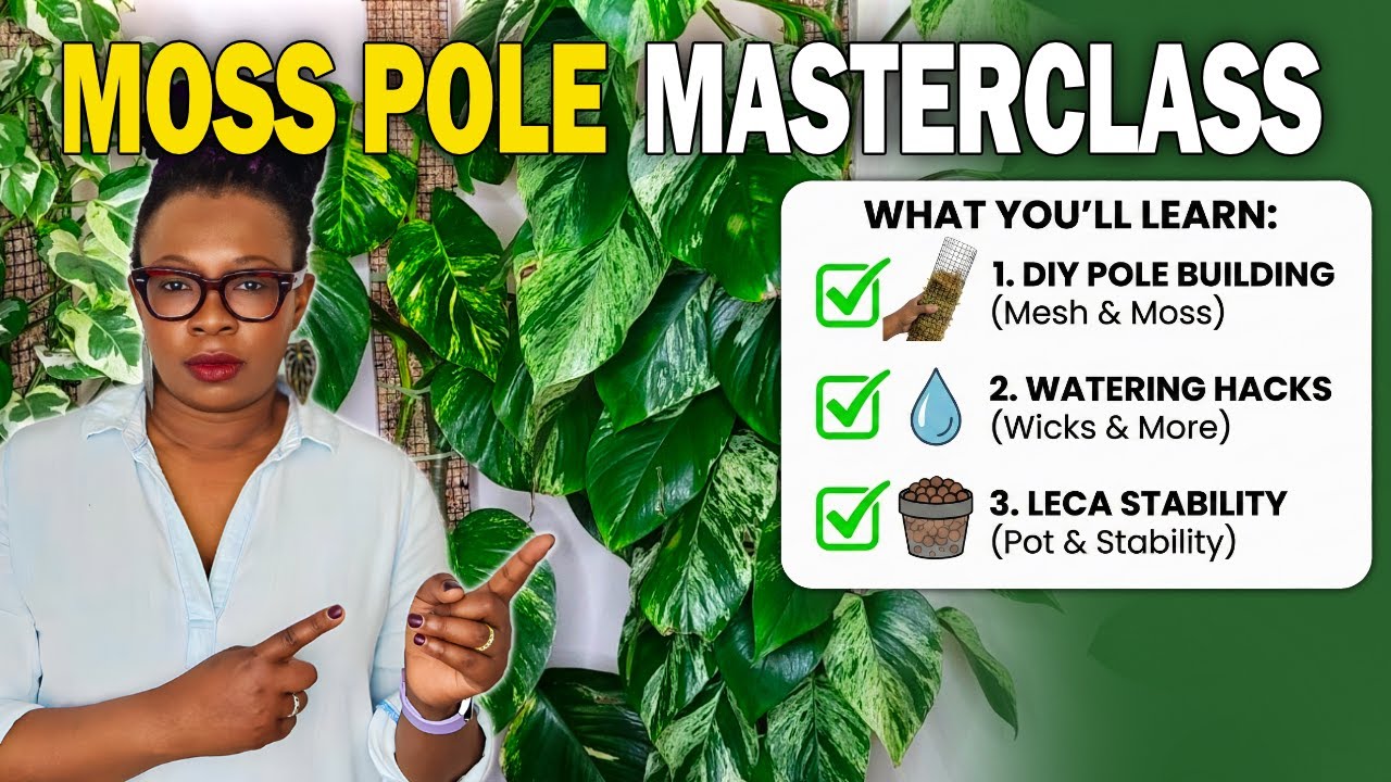 Growing Giant Plants with Moss Poles - Everything I Learned in 6 Years